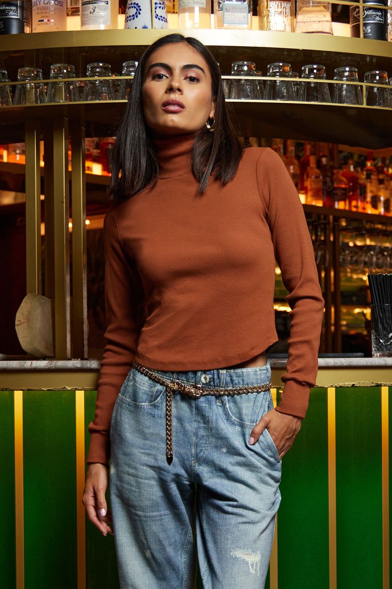 RONNIE CROP TURTLENECK TOP